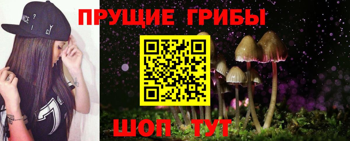 Псилоцибиновые грибы Cubensis Орехово-Зуево