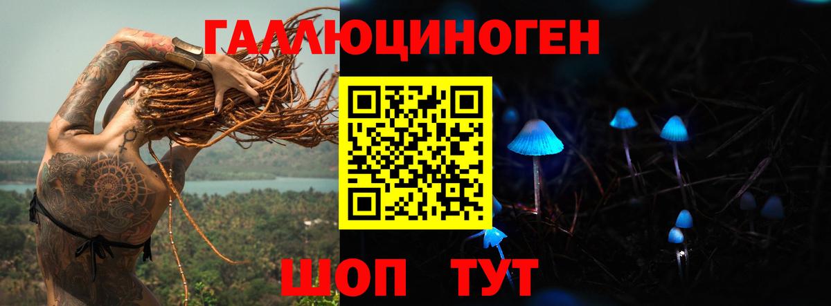 Орехово-Зуево  Псилоцибиновые грибы Psilocybine cubensis  Вход с VPN 
